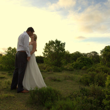 Pumba Private Game Reserve Weddings A Kiss Shared Under An African Sunset