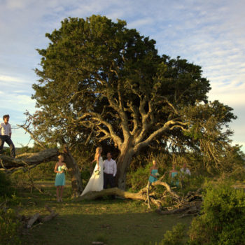 Pumba Private Game Reserve Weddings Bridal Party Under a Tree