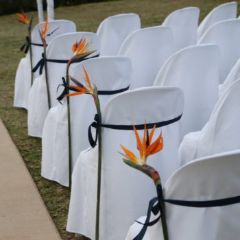 Pumba Private Game Reserve Weddings Ceremony Seating Details