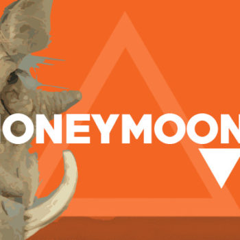 Pumba featured images honeymoons