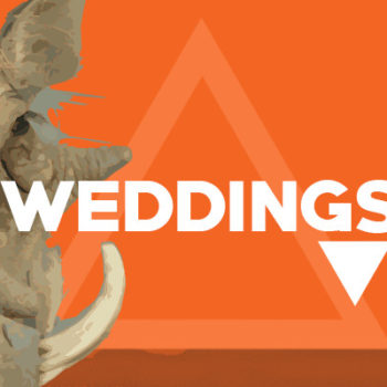 Pumba featured images weddings